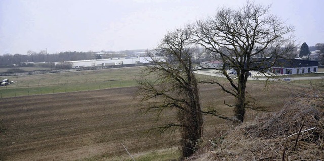 Das Neuenburger Gewerbegebiet Heiligkreuzkopf soll erweitert werden.   | Foto: Volker Mnch