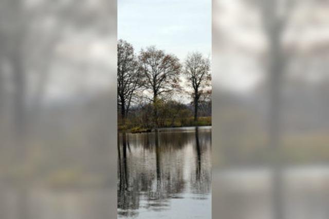 Der Oberrhein ist ein wertvolles Ramsar-Gebiet