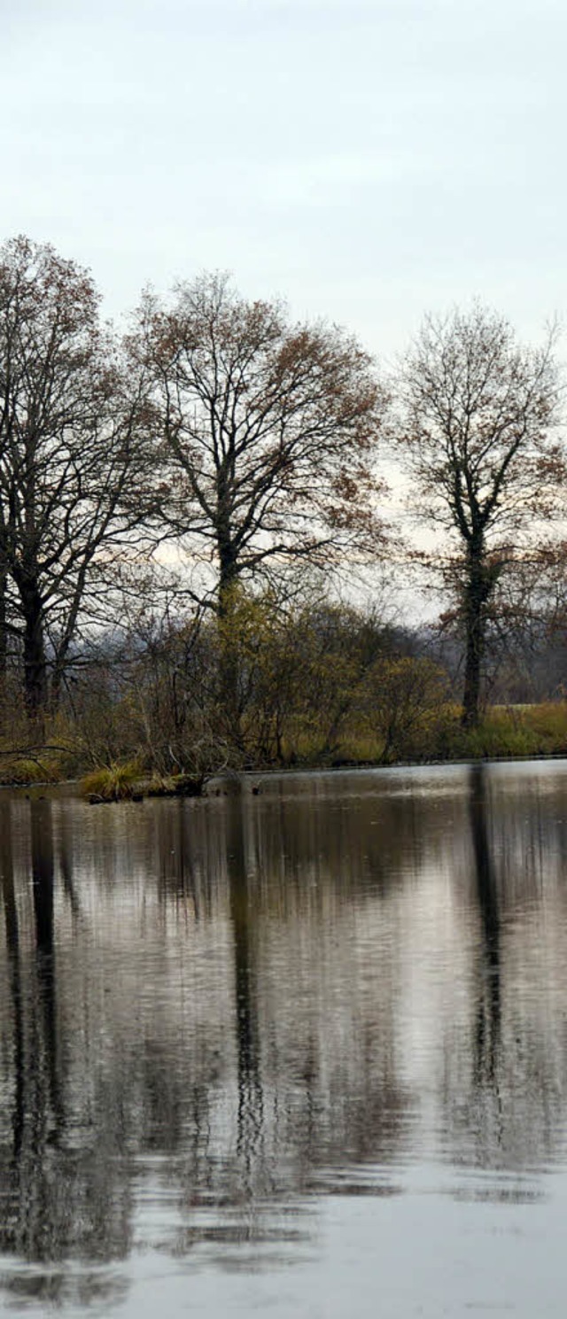 Auch der Taubergieen gehrt zu dem gr...amsar-Gebiet &#8222;Oberrhein&#8220;.   | Foto: trul