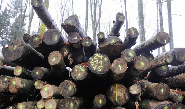 Der Holzmarkt ist in Bewegung, die Pre...nach oben. Das freut die Waldbesitzer.  | Foto: Bergmann