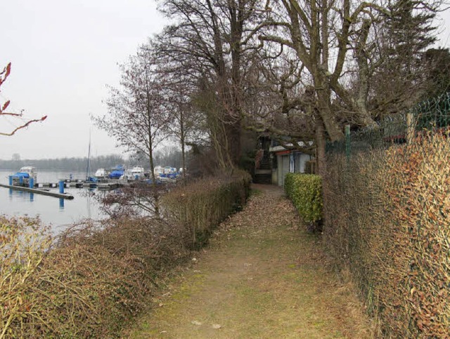 Auch der Hochrheinwanderweg an der Rhe... werden, wnscht die BUND-Ortsgruppe.   | Foto: Heinz Vollmar