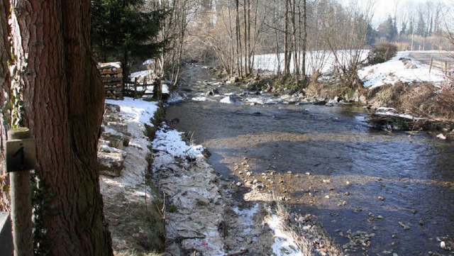 Dieser Abschnitt des Wagensteigbachs (...lrampe ist zu steil fr viele Fische.   | Foto: Silvia Faller