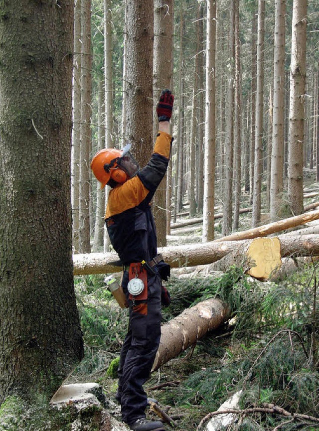 Bume fllen &#8211; und Bume pflanze...den wichtigen Aufgaben der Forstwirte.  | Foto: dpa-tmn