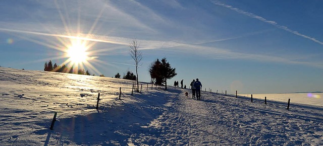 Den Winter auf den Schwarzwaldhhen ge...erfreunde vom Schwarzwaldverein Zell.   | Foto: BERGER