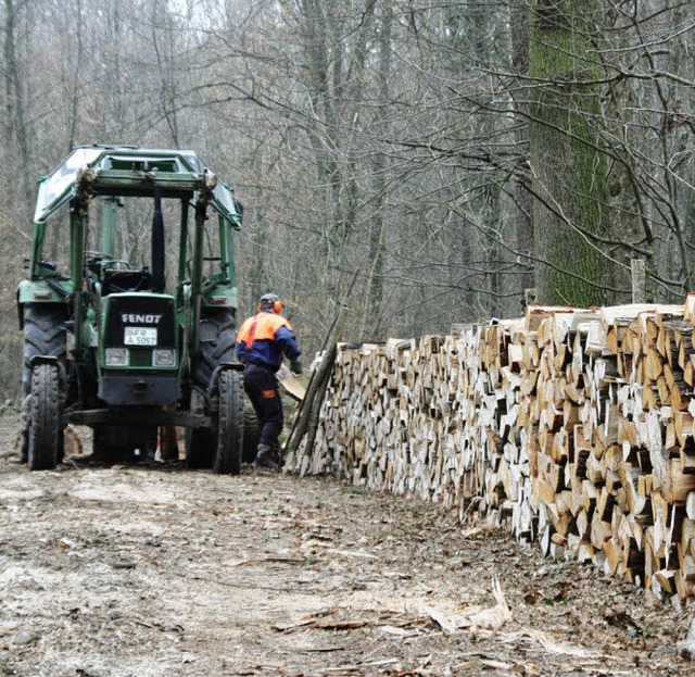 Viele Ster Brgerholz lagern im Opfinger Wald.   | Foto: Silvia Faller