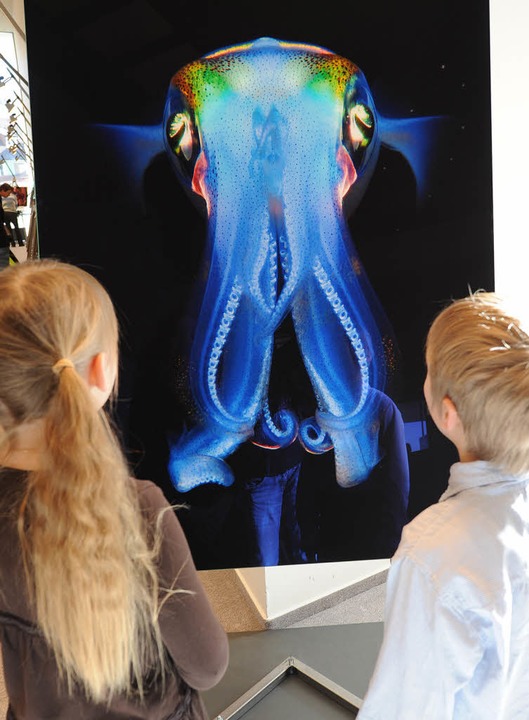 Kinder vor der Aufnahme eines Kalmars von David Hettich  | Foto: R. eggstein