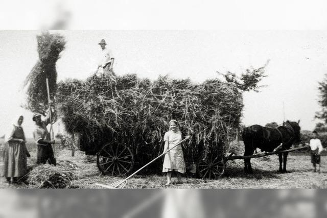 Eine Zeitreise in die Sulzer Vergangenheit