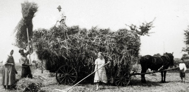 <ppp> ebenso wie das Heimbringen der Garben.</ppp>   | Foto: repros: Dieter Fleig