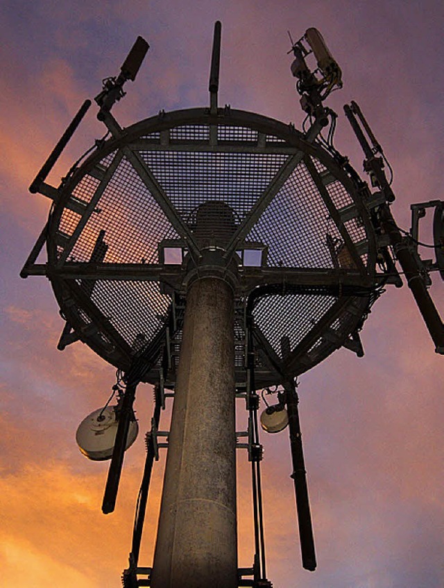 Ein 45 Meter hoher Mobilfunkmast wird ...wann &#8222;Elsberg&#8220; errichtet.   | Foto: BZ
