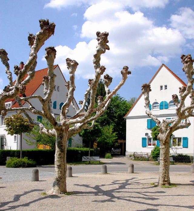 Die Gartenstadt gilt Denkmalschtzern als etwas ganz Besonderes.  | Foto: Hannes Lauber