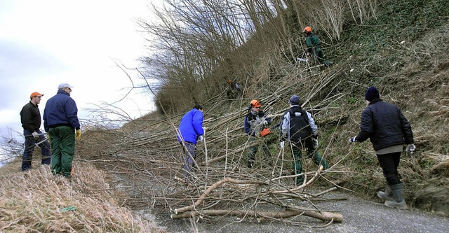 Winzer, Jugendliche und Ortschaftsrte...n einer Bschung im Gewann Httenbhl.  | Foto: Roland Vitt