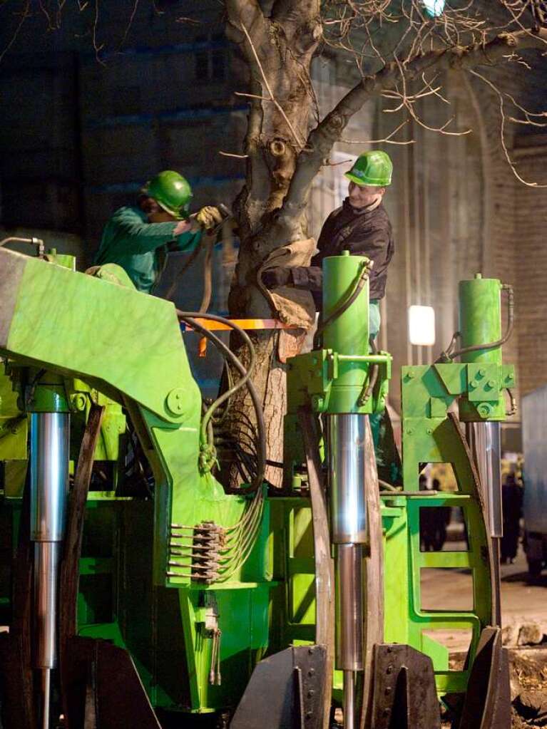 Mit Hilfe eines Spezialfahrzeugs wird  am Nordflgel des Hauptbahnhofs ein Baum verpflanzt.