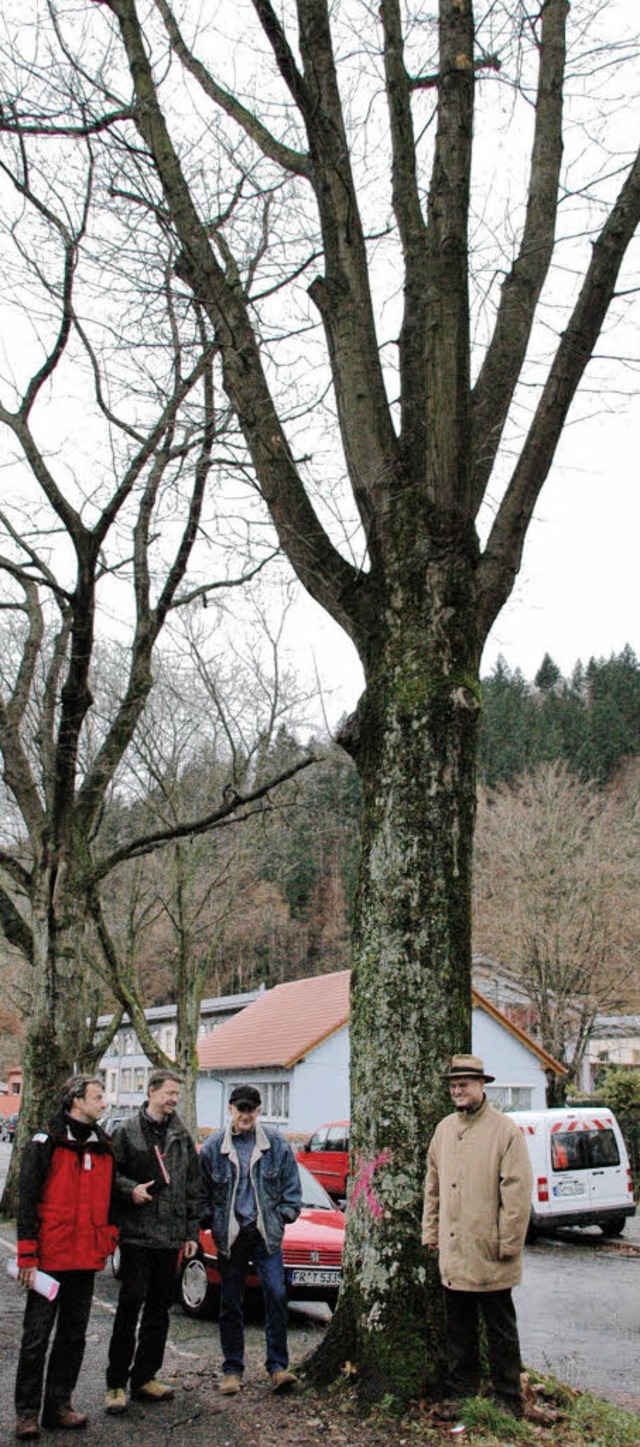 2009 wurde durch ein Gutachten festges...etten sind. Jetzt werden sie gefllt.   | Foto:  Archiv Bleyer