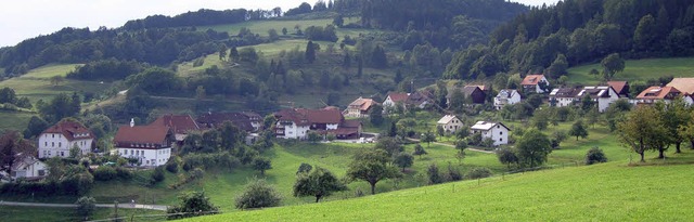 In Adelsberg steht der Aufbau eines greren  Nahwrmenetzes zur Diskussion.  | Foto: Paul  Berger