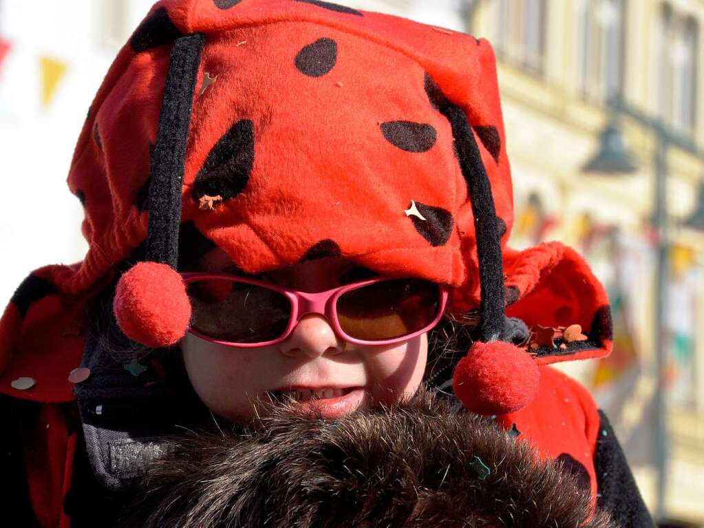 Impressionen vom Jubilums-Narrentreffens-Samstag