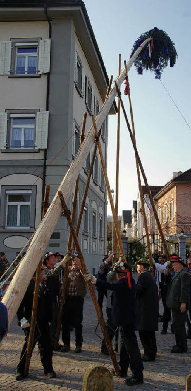 Mit der Erfahrung aus 40 Jahren stellt...rrenbaum auf dem Rathausplatz in Wehr.  | Foto: miloslavic