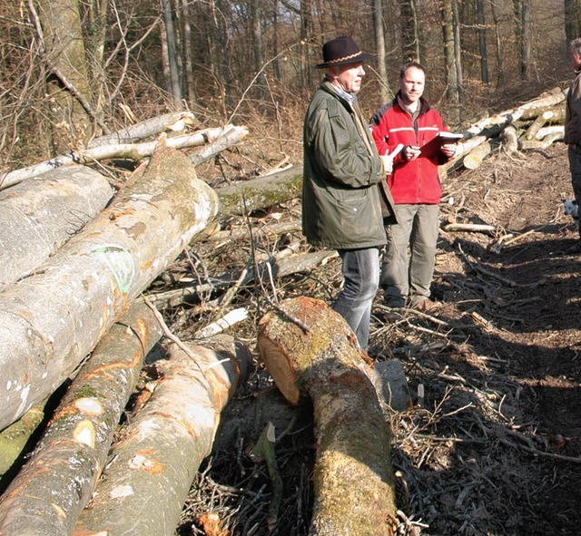 Bei der Hsinger Holzversteigerung gin...ag weg. Auch Polder wurden ersteigert.  | Foto: Vera Winter