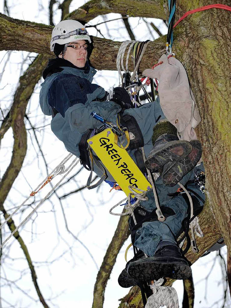 Ein Aktivist der Umweltschutzorganisation Greenpeace sitzt in Karlsruhe in einem Baum an den Gleisen zur ehemaligen Wiederaufbereitungsanlage.