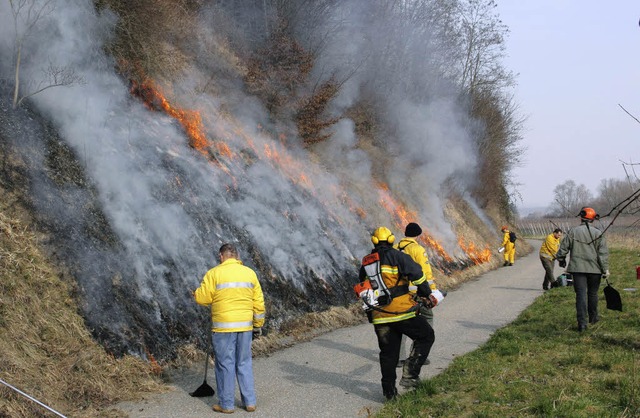 Kontrollierter Feuereinsatz in Endingen am Kaiserstuhl  | Foto: Hans-Peter Ziesmer