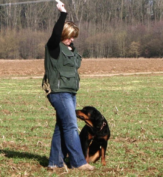 Tglich trainiert Sarah Schaffhauser m...r Weltmeisterschaft der Fhrtenhunde.   | Foto: Reinhard Cremer