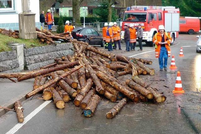 Holzlaster in Ottenhfen umgekippt