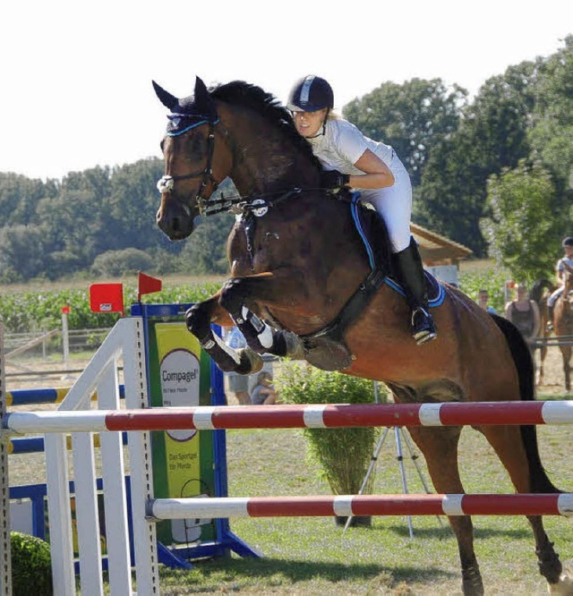 Reitclub Gundelfingen  | Foto: Andrea Steinhart