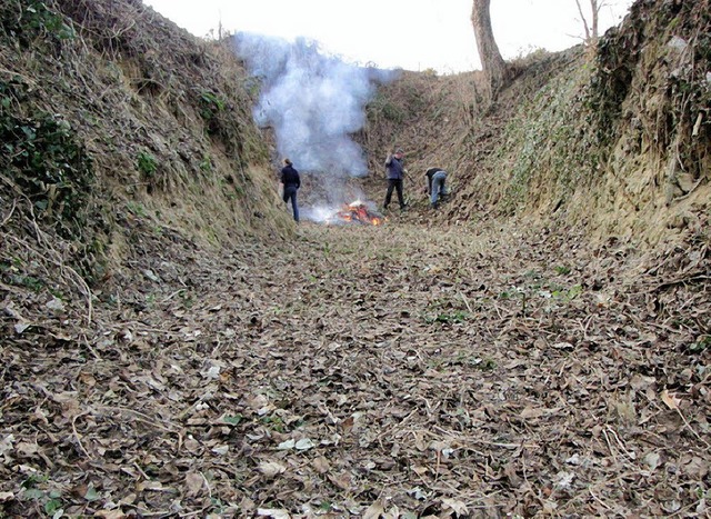 Wieder begehbar: Der Hohlweg im Bergbrunnen.  | Foto: Privat