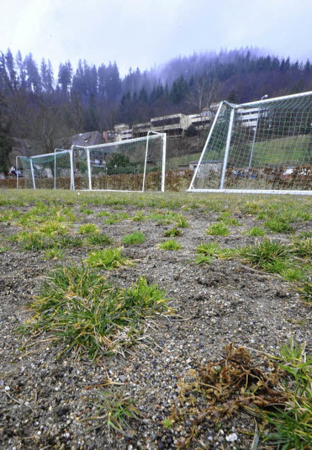 Geeignet fr Blutgrtschen: der Uni-Sportplatz auf den Kartauswiesen  | Foto: Michael Bamberger