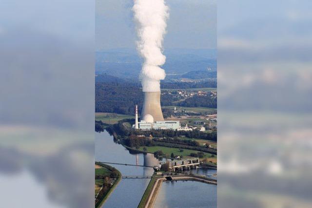 Fehler im Atomkraftwerk Leibstadt