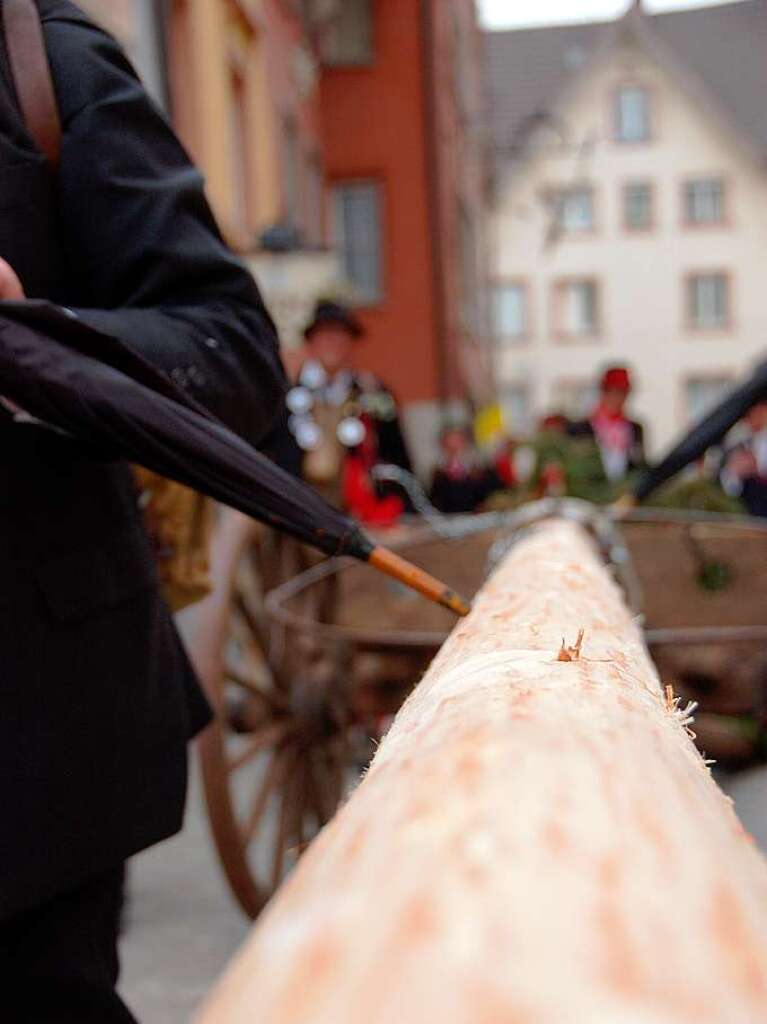 Bad Sckingen stellt am ersten Faien (Wldertag) den Narrenbaum auf dem Mnsterplatz