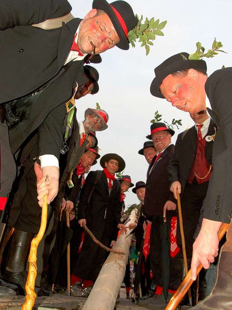 Bad Sckingen stellt am ersten Faien (Wldertag) den Narrenbaum auf dem Mnsterplatz