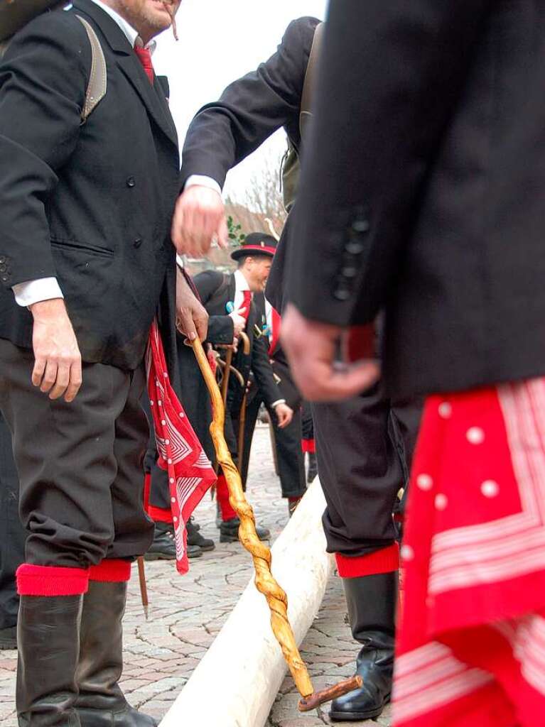 Bad Sckingen stellt am ersten Faien (Wldertag) den Narrenbaum auf dem Mnsterplatz