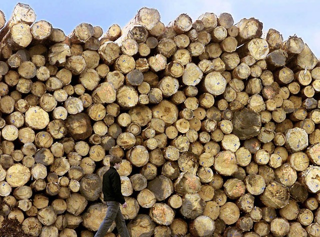 Aus den Revieren auf das Holzpolter un...ft. Der Gewinn liegt bei 250000 Euro.   | Foto: dpa