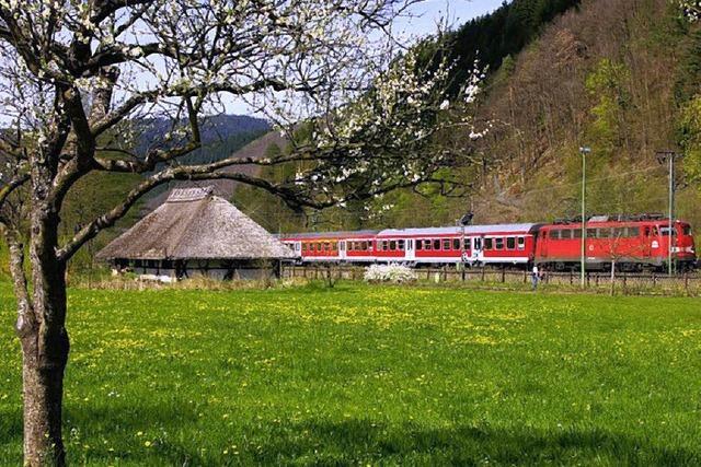 Neuer Kreisumlage-Satz: SPD folgt Landrat Scherer