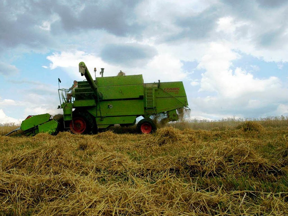 Viele Lebensmittel wie Weizen sind in den vergangenen Jahren teurer geworden.  | Foto: Mario Moschel