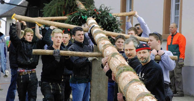 Pure Manneskraft war beim Narrenbaumst...ulburg gefragt, whrend die Damen. . .  | Foto: maja tolsdorf