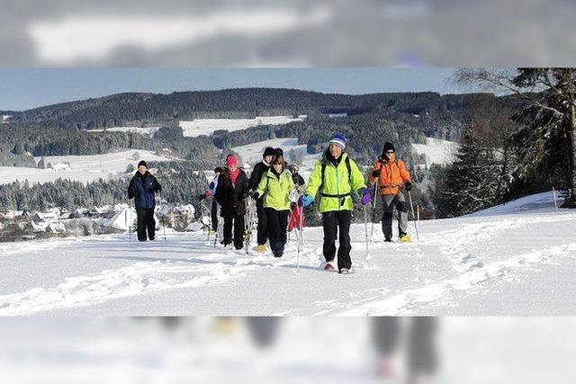 Abenteuer Winterwald