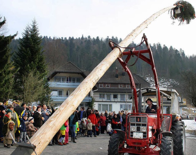 Mithilfe von einigen Pferdestrken wur...tige Baum in die Senkrechte gewuchtet.  | Foto: Andreas Bhm