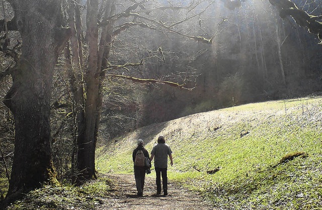 Ausreichend Wandervergngen bietet der...suchern. Hier in der Wutachschlucht.    | Foto: Gerard