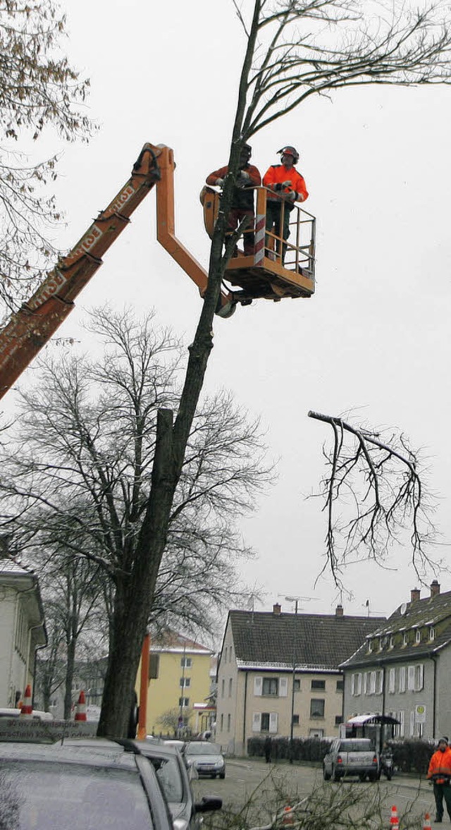 Baumfllarbeiten in der Tramplerstrae.   | Foto: H. Fssel