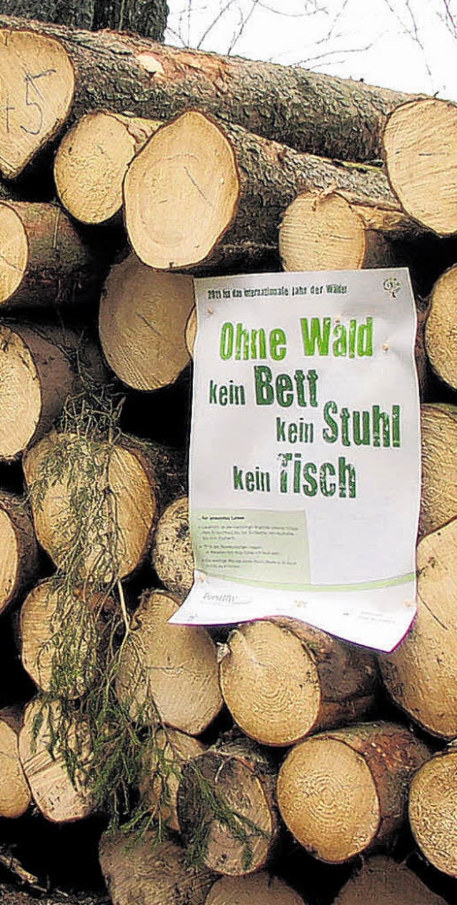 Im Hfinger Stadtwald werden Spazierg...otschaften zum Thema Wald aufgeklrt.   | Foto: Lendle