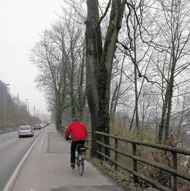 Knnen bleiben: die Bume, der Holzzau...e teure Baumanahme wurde abgeblasen.   | Foto: Huber