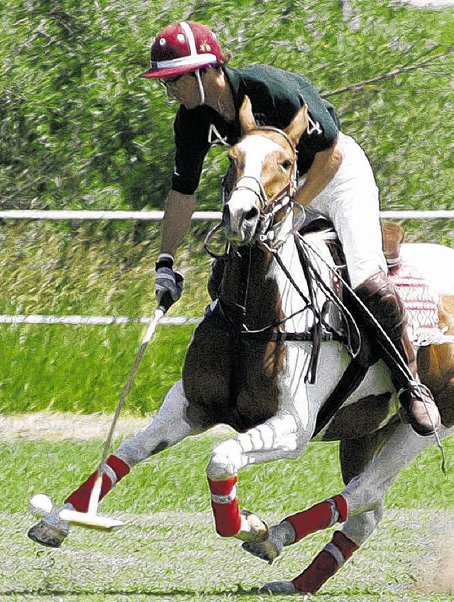 Als rasanter Sport prsentiert sich Polo seit 2006 im Schlosspark.   | Foto: BZ