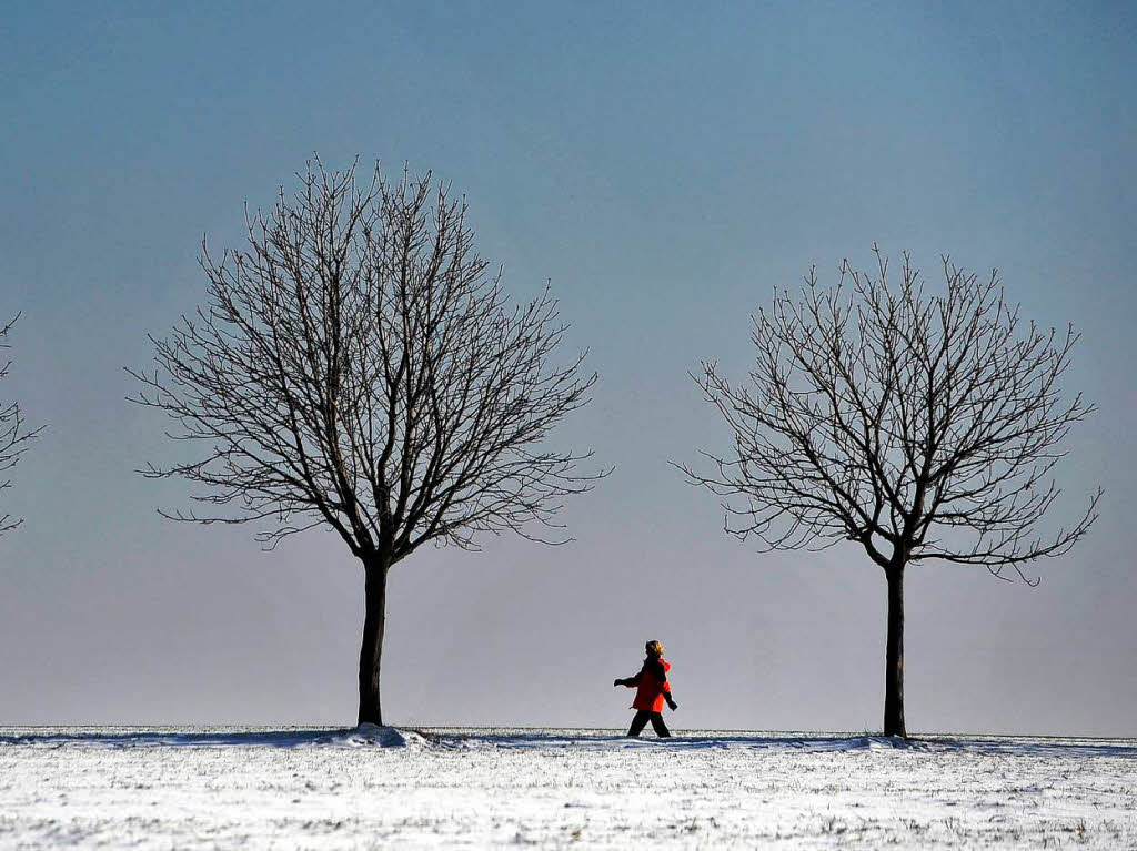 Eine Spaziergngerin geht bei Golberode bei Sonnenschein und Temperaturen von minus 9 Grad Celsius zwischen verschneiten Bumen.