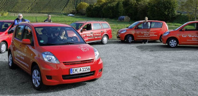 Die Flotte der Autoteilfreunde im Elztal.   | Foto: Verein