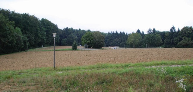 Der Bebauungsplan &#8222;Neufeld Sd&#8220; soll gendert werden.   | Foto: Ralf Staub