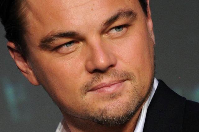 Lrracher Firma liefert Teppich fr Oscar-Party von DiCaprio
