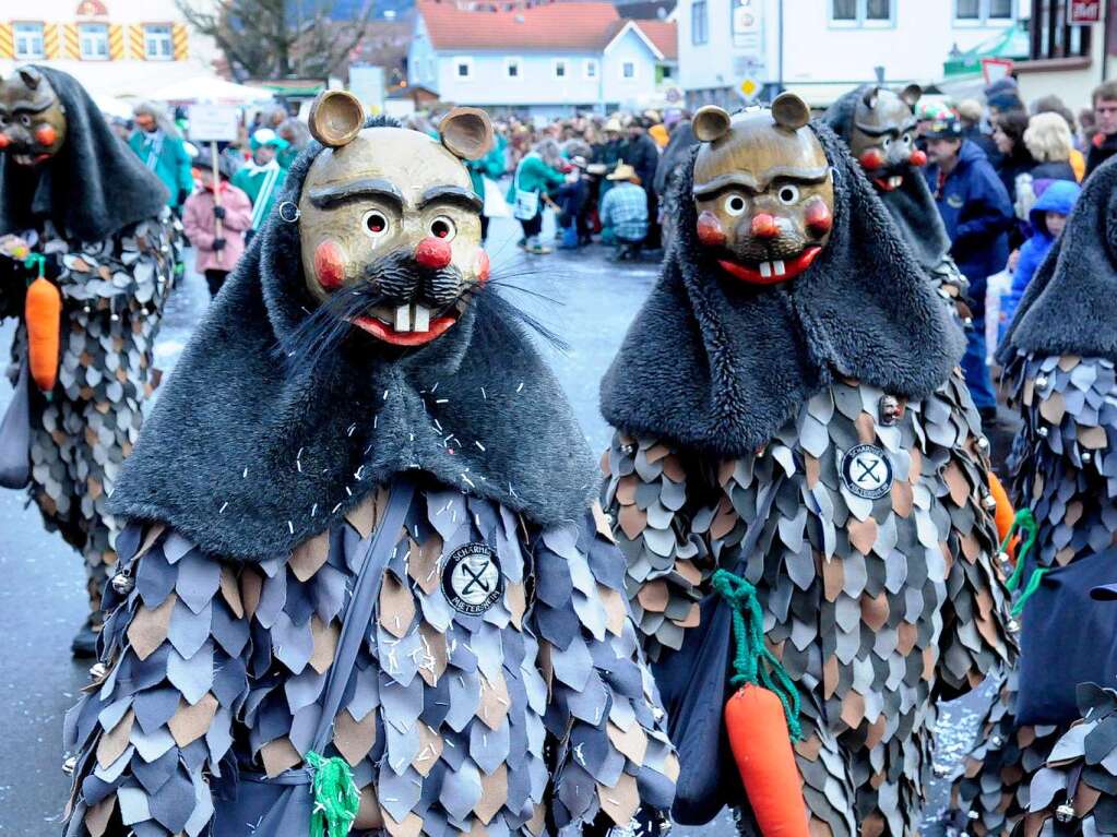 Buntes Treiben bescherten zahlreiche Znfte den Zuschauern beim Umzug in Friesenheim