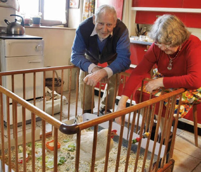 Werner und Yvonne Richter am Laufgitter ihres Pfleglings   | Foto: A. Greiner