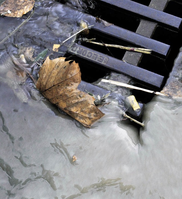 Wenn es nach BVM und Freien Whlern ge...ersickerung&#8220; des Niederschlags.   | Foto: Schneider